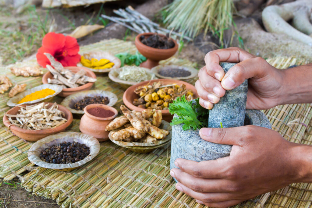 Ayurvedic Treatments and Diet